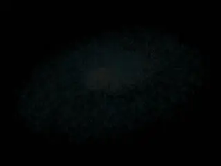 [01-Torte]_愛嬢学園_惑星アルバイブ_~極動!EXP