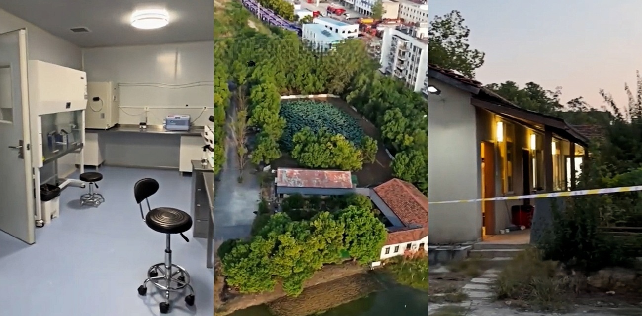 上官正义卧底半月曝光 华中最大代孕地下手术室 武汉武湖街道实锤违规运营