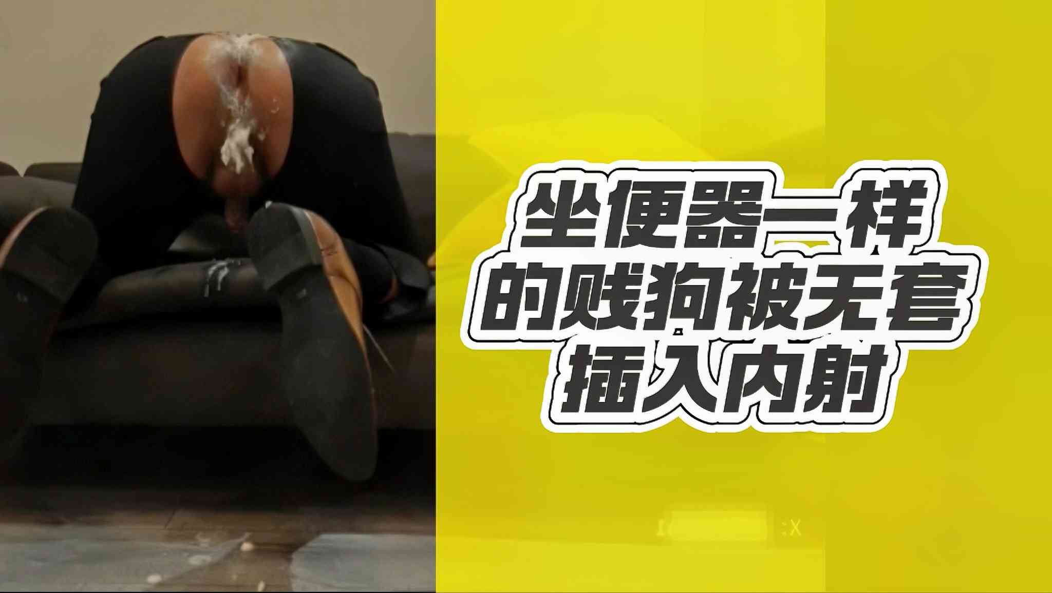 坐便器一样的贱狗被无套插入内射